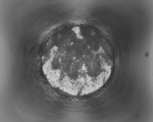 X0000114661398200912011124