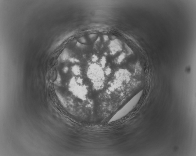 X0000114661399200912011124