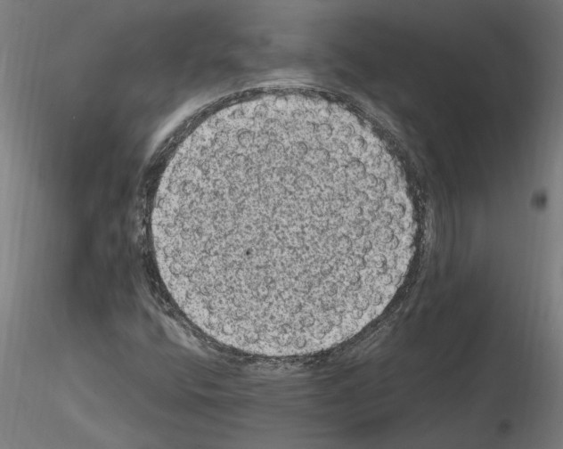 X0000114661400200912011124