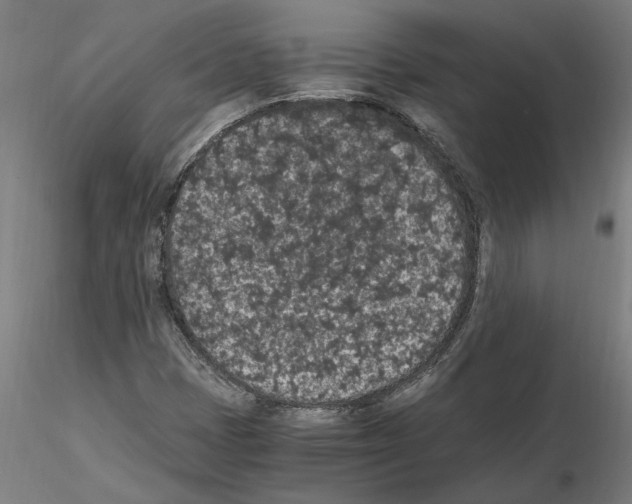 X0000114661401200912011124