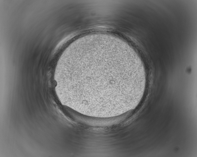 X0000114661402200912011124