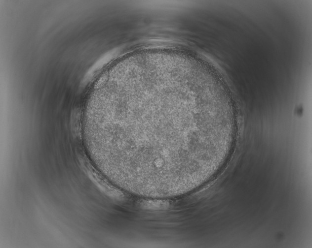 X0000114661403200912011124