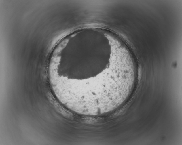 X0000114661405200912011124