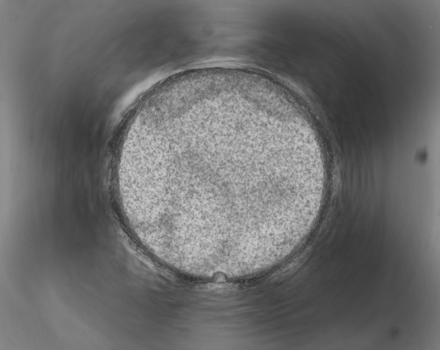 X0000114661406200912011124