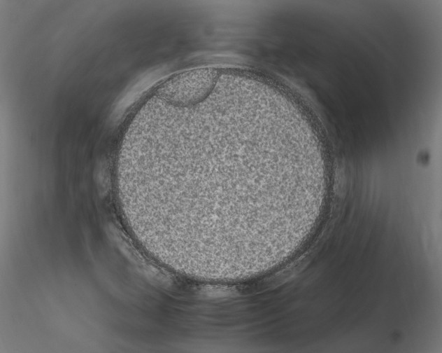 X0000114661407200912011124