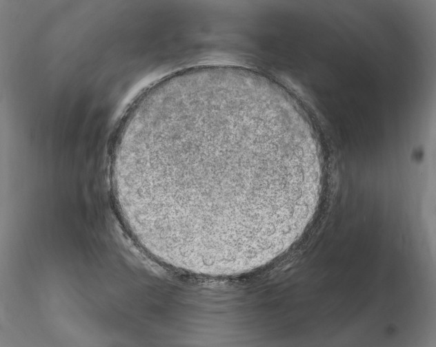 X0000114661408200912011124