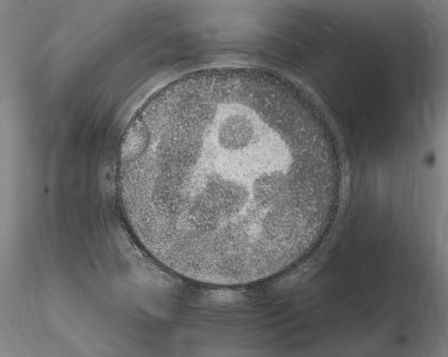 X0000114661409200912011124