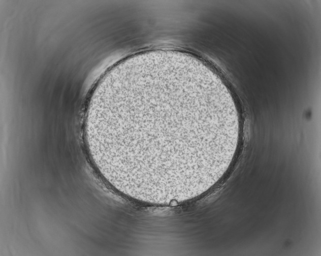 X0000114661410200912011124