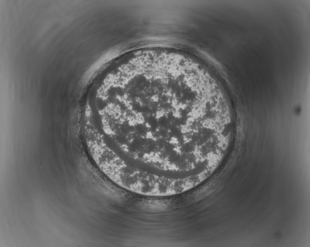 X0000114661411200912011124