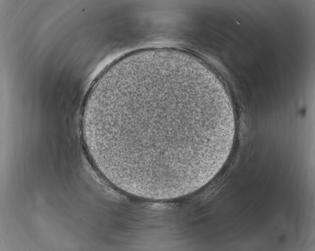 X0000114661412200912011124