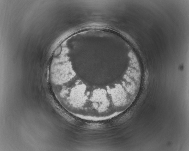 X0000114661413200912011124