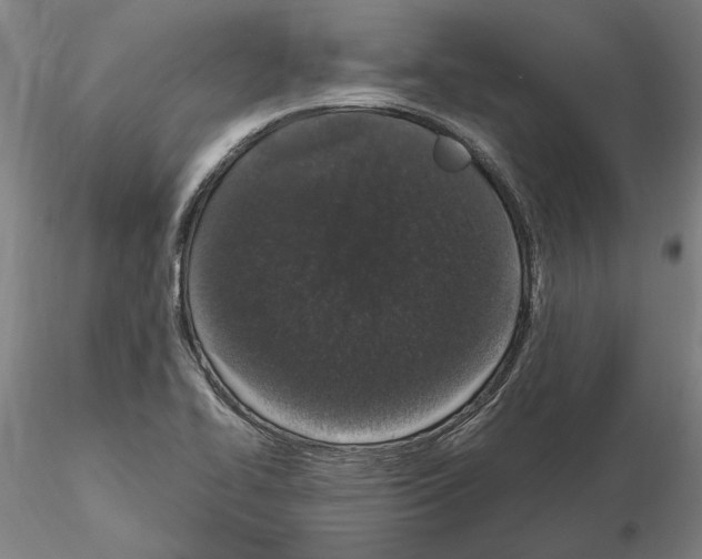 X0000114661414200912011124