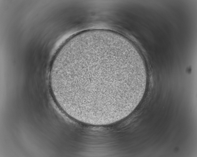 X0000114661416200912011124