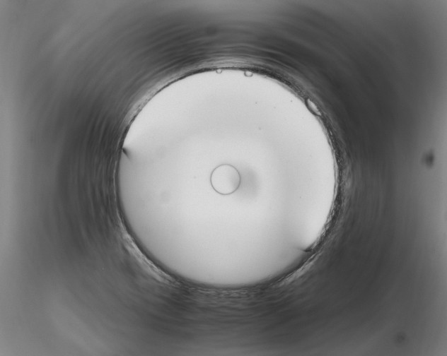 X0000114661417200912011124