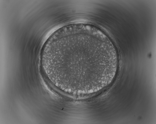 X0000114661418200912011124