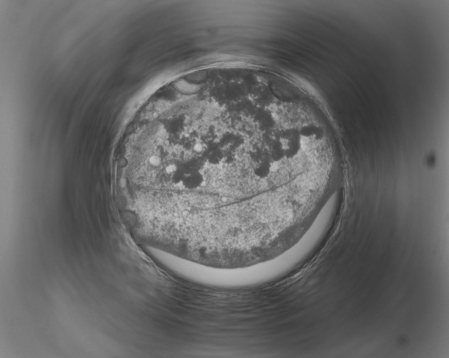 X0000114661419200912011124