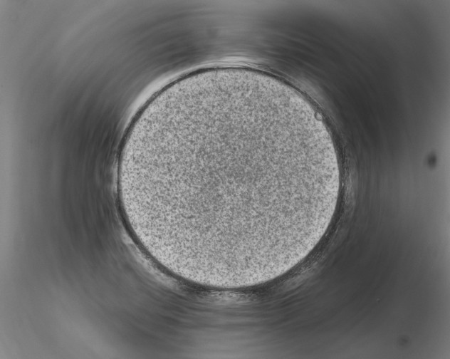 X0000114661420200912011124