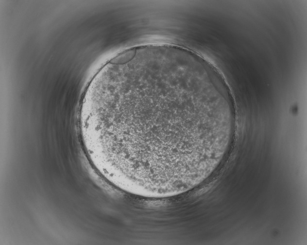 X0000114661421200912011125