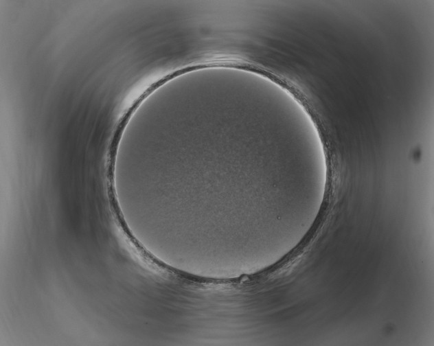 X0000114661422200912011125