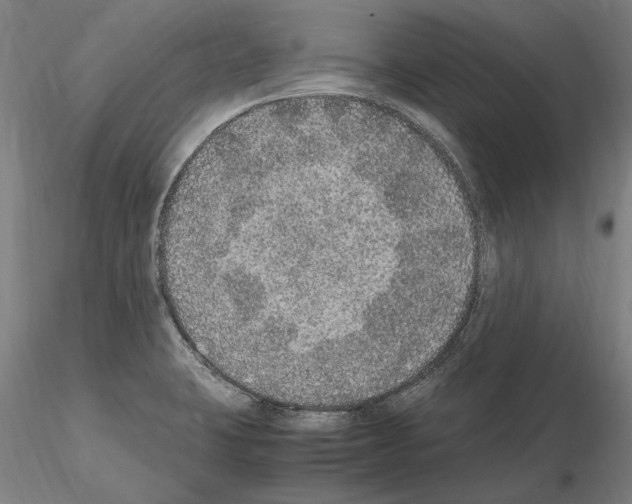 X0000114661423200912011125