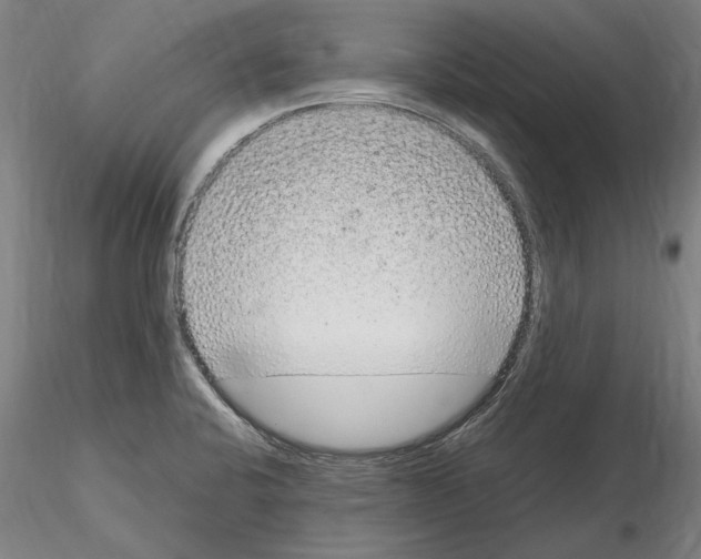 X0000114661424200912011125