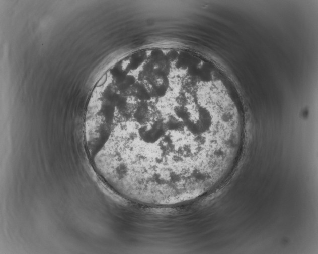 X0000114661425200912011125