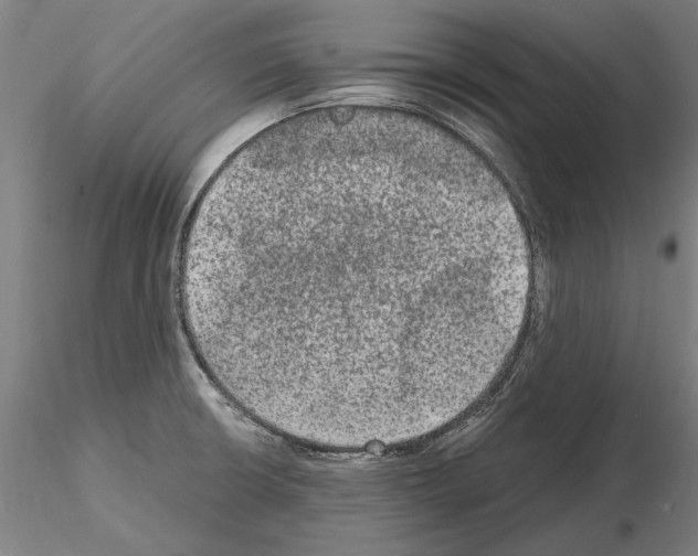 X0000114661426200912011125