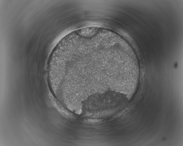 X0000114661427200912011125