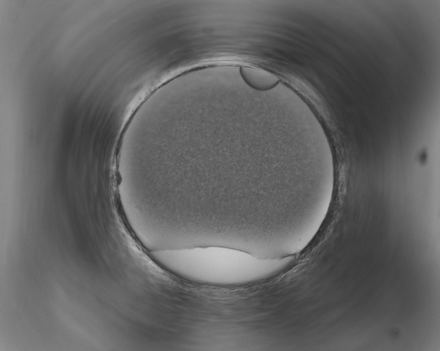 X0000114661428200912011125