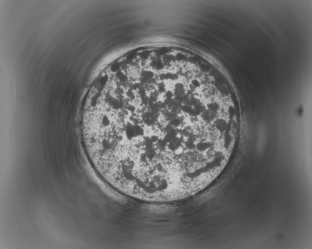 X0000114661429200912011125