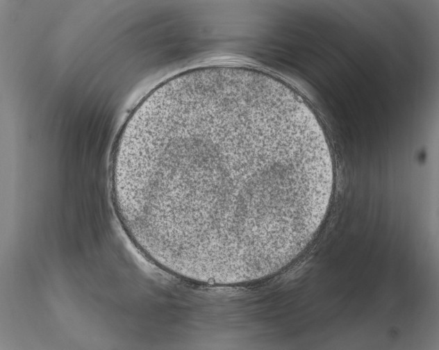 X0000114661430200912011125