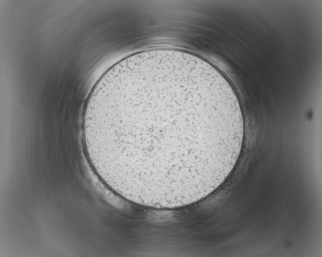 X0000114661431200912011125