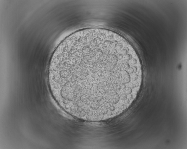 X0000114661432200912011125