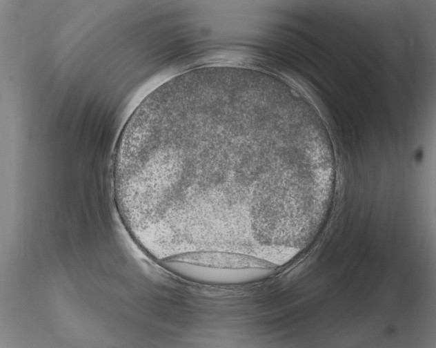 X0000114661434200912011125