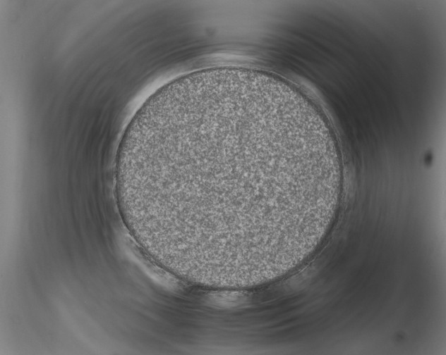 X0000114661435200912011125