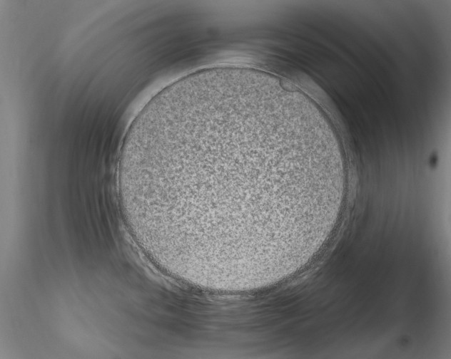 X0000114661436200912011125