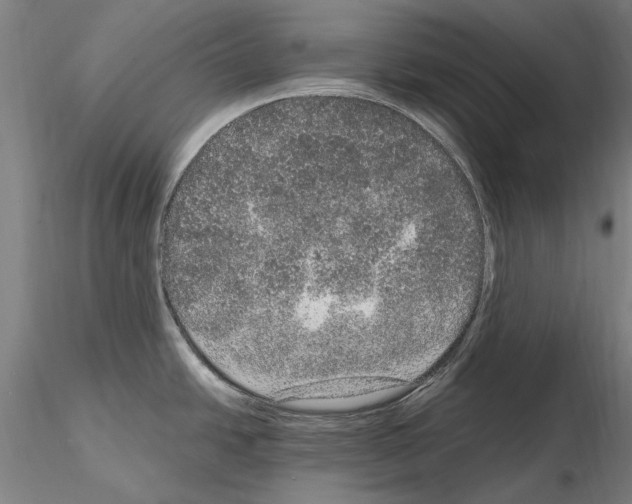 X0000114661438200912011125