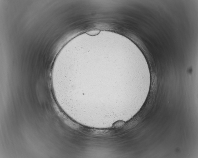 X0000114661439200912011125