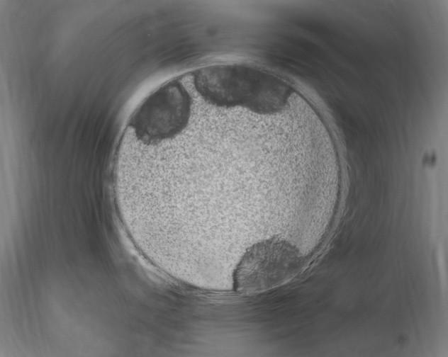 X0000114661440200912011125