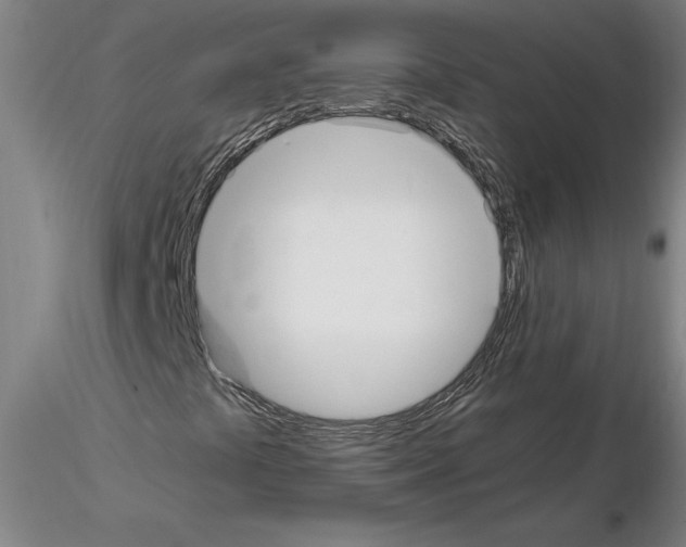 X0000114661441200912011124