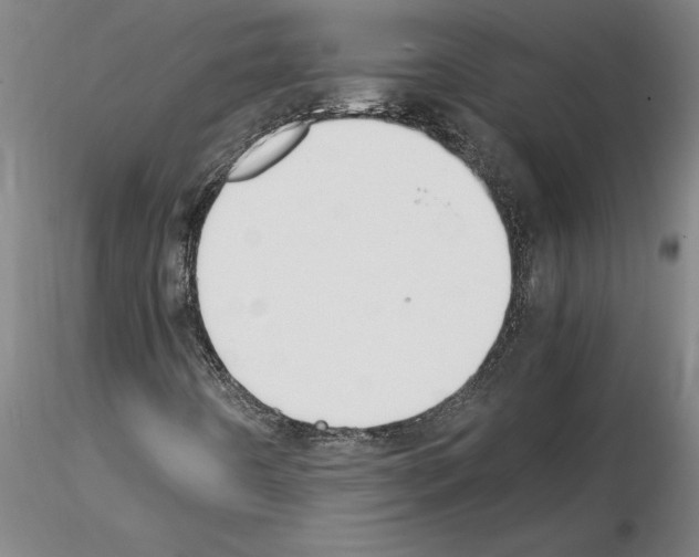 X0000114661442200912011124