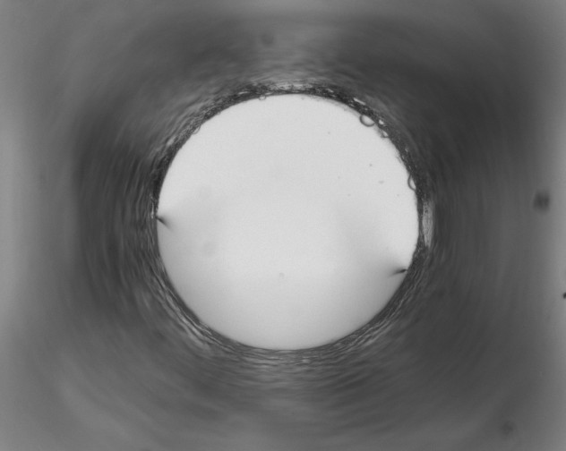 X0000114661444200912011124