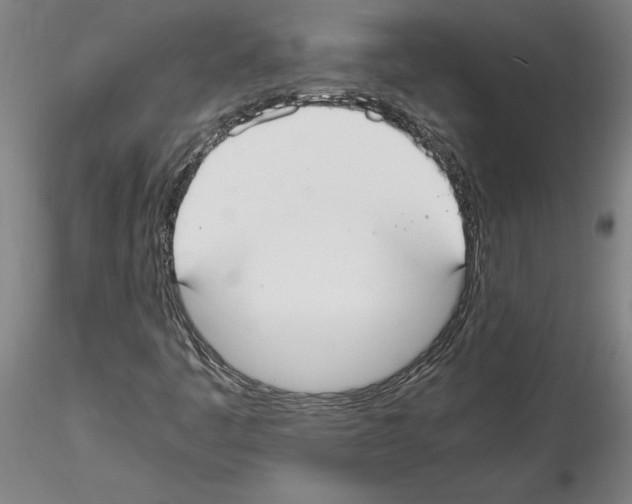 X0000114661445200912011124