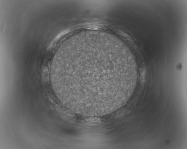 X0000114661446200912011124