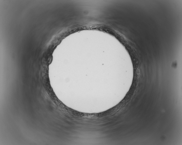 X0000114661447200912011124