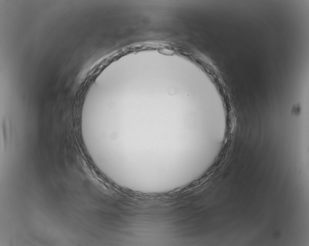 X0000114661448200912011124