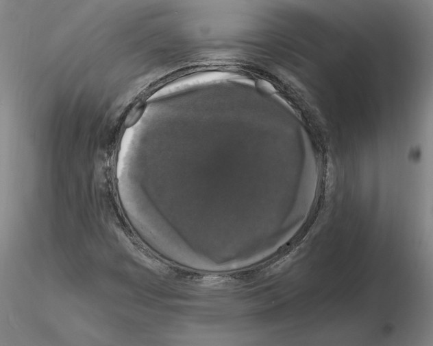 X0000114661449200912011124