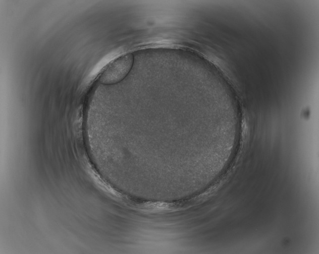 X0000114661450200912011124