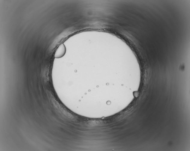 X0000114661451200912011124