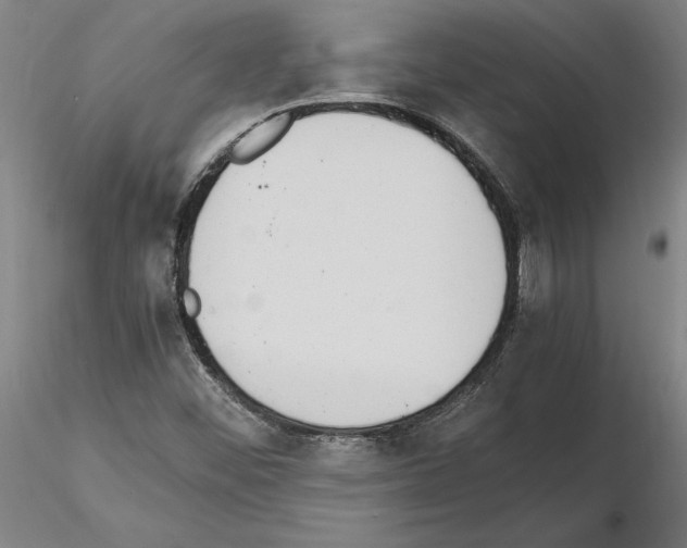 X0000114661452200912011124